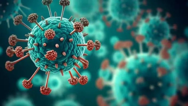 Two HMPV Virus Cases Detected In Bengaluru Karnataka Health Dept Calls Emergency Meeting Two HMPV Virus Cases Detected In Bengaluru Karnataka Health Dept Calls Emergency Meeting