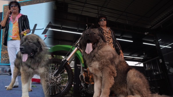 50 crore dog at the Vishnupriya cinema event