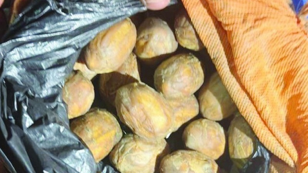 Poaching Issues in Chamarajanagar Forest Area Three Arrested