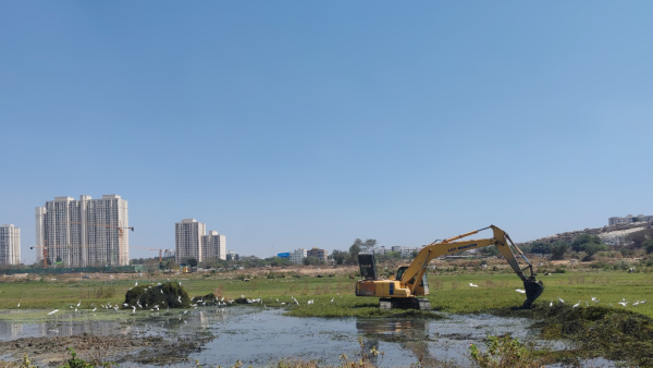 BBMP clarifies Bengaluru s Hulimavu Lake was encroached and made way for villas BBMP clarifies Bengaluru s Hulimavu Lake was encroached and made way for villas