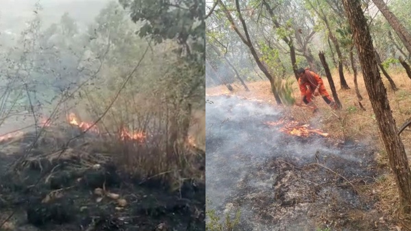 Chamarajanagar Fire Incident Kaveri and Mahadeshwara s Hundreds of Acres Forest Burnt by Fire Chamarajanagar Fire Incident Kaveri and Mahadeshwara s Hundreds of Acres Forest Burnt by Fire