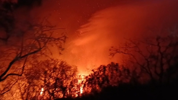 Chamundi Hills Fire New Fines For Safety Violations Announced