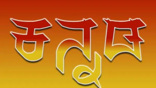 Clash Over Kannada Language In Bengaluru Hotel Video Goes Viral