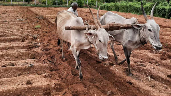 Farmers Opposes Bettahalasuru Rajanukunte New Railway Line