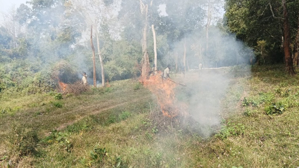 Nagarahole Forest Department Prepares for Fire Prevention Measures