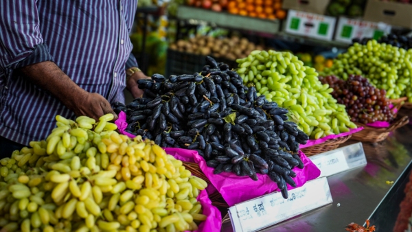 Grapes Watermelon Sale Fair To Be Inaugurated At HOPCOMS Lalbagh On Feb 24