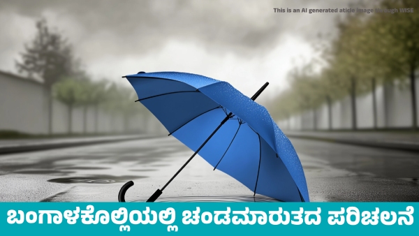 Karnataka Weather Heavy rainfall forecast in these districts for Next two days from February 19
