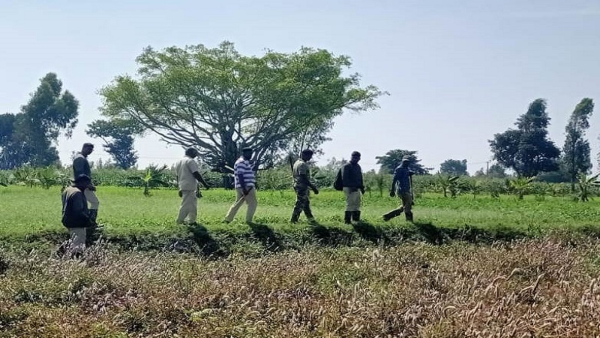 Nagarahole Forest Villagers Alarmed by Tiger Attacks on Livestock Nagarahole Forest Villagers Alarmed by Tiger Attacks on Livestock