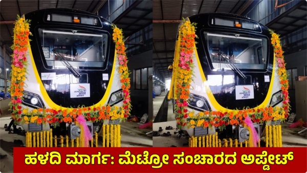 Bengaluru Electronic City Metro Yellow Line Open Again Delay Passengers Outrage on BMRCL