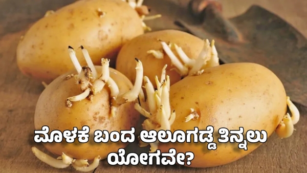 Is it healthy to eat green or sprouted potatoes