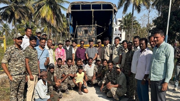 Forest Department Successfully Reunites Leopard Cubs with Their Mother