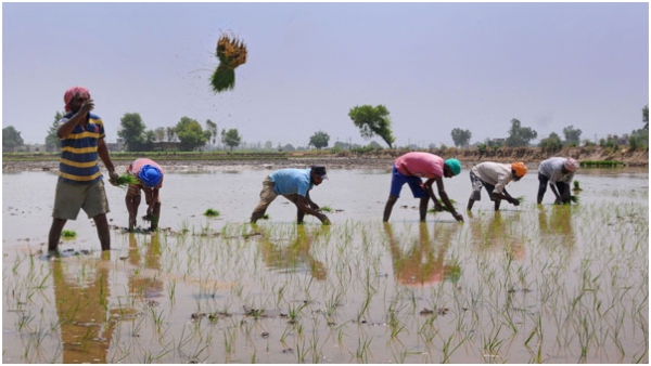 be cautious when buying agricultural land key documents to check