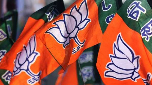 Lingaraja Patil s Reaction To The Expulsion Of Somashekar And Hebbar From The BJP