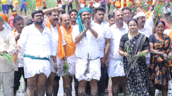 BJP State President BY Vijayendra Planted Paddy In Mandya
