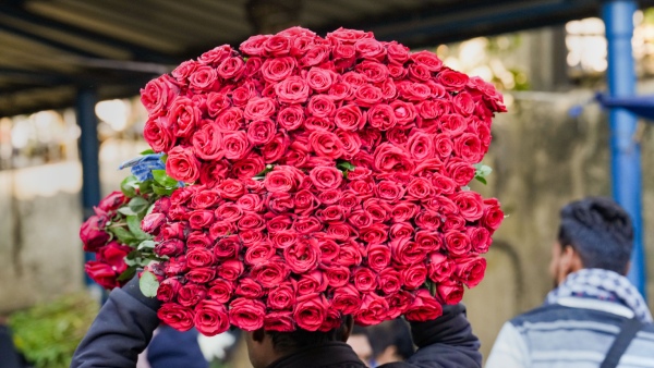 Karnataka Budget 2025 Chikkaballapur Gets Hi-Tech Flower Market