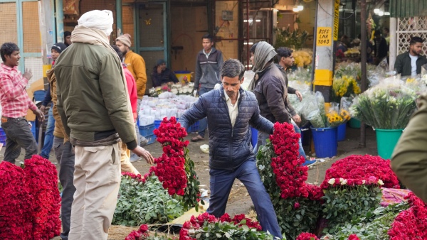 Karnataka Budget 2025 Chikkaballapur Gets Hi-Tech Flower Market