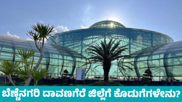 Karnataka Budget 2025 What Are Allocations for Davanagere District