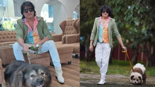 Bengaluru Man Buys World s Most Expensive Wolfdog For Rs 50 Crore