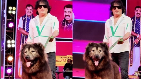 Bengaluru Man Buys World s Most Expensive Wolfdog For Rs 50 Crore