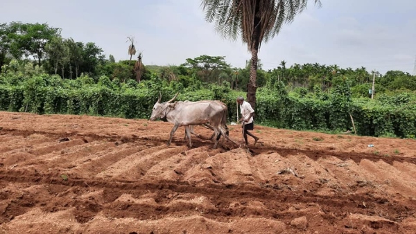 PMKSY Union Government Big Gift For Dharwad District