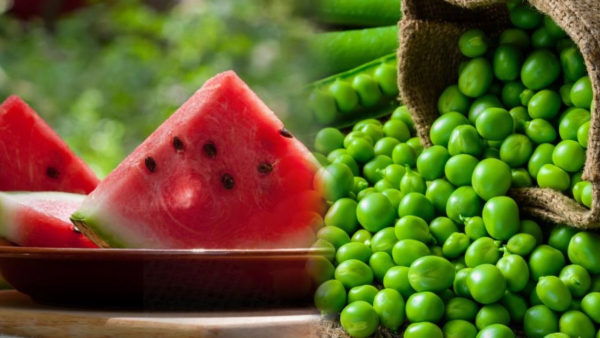 Artificial color used in watermelon Kidney problems due to its consumption