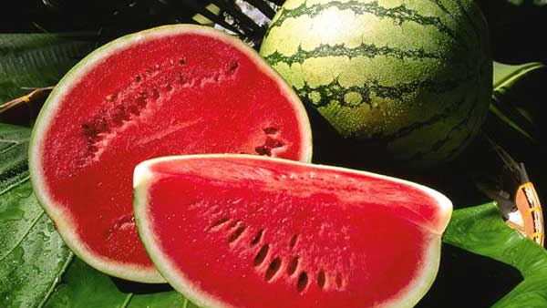 Artificial color used in watermelon Kidney problems due to its consumption