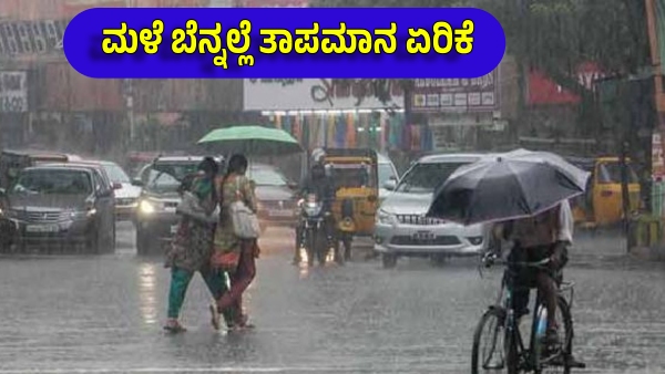 IMD Issues Heavy Rain Alert for These Districts of State in Next Two Days