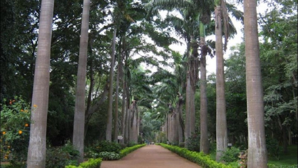 Karanji Lake Development Proposal Rejected by Zoological Authority