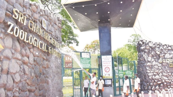 Mysuru Zoo Implements Cool Measures Amid Bird Flu Concerns Mysuru Zoo Implements Cool Measures Amid Bird Flu Concerns