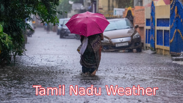 IMD Issues Heavy Rain-Yellow Alert 12 Districts of Tamil Nadu Due Cyclonic Circulation