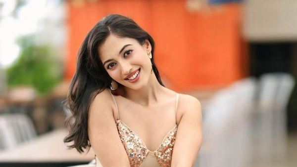 TV Actress Aditi Sharma and Abhineet Kaushik Divorce After Just 4 Months Of Marriage