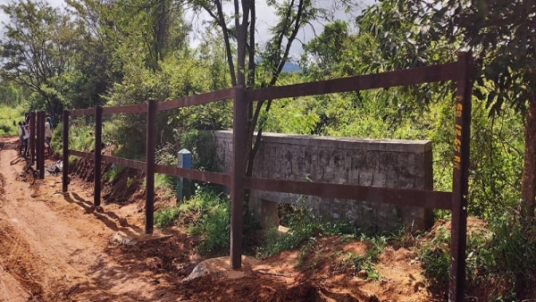 Understanding Human-Wildlife Conflict Causes and Solutions