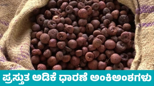 Arecanut Price increase in Davanagere market on April 26