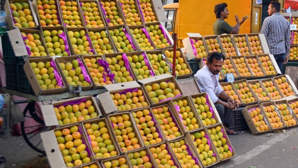 Kolar Ramanagara Mango Lead To Change In Markets On April Kolar Ramanagara Mango Lead To Change In Markets On April