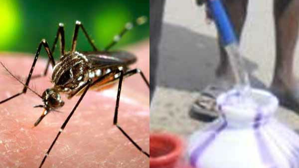 Fears of Increase in Dengue Fever as Bengaluru Rains BBMP Steps in To Control Fever Fears of Increase in Dengue Fever as Bengaluru Rains BBMP Steps in To Control Fever
