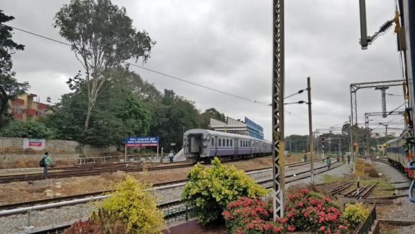 Bengaluru Cantonment Commercial Development Project Sparks Outcry Over Felling Of 368 Heritage Trees Bengaluru Cantonment Commercial Development Project Sparks Outcry Over Felling Of 368 Heritage Trees