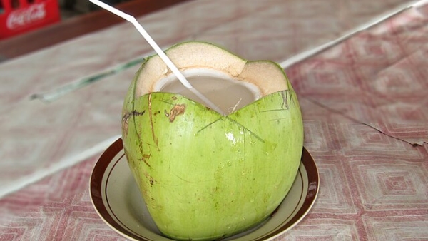 man dies of brain infection after drinking coconut water why