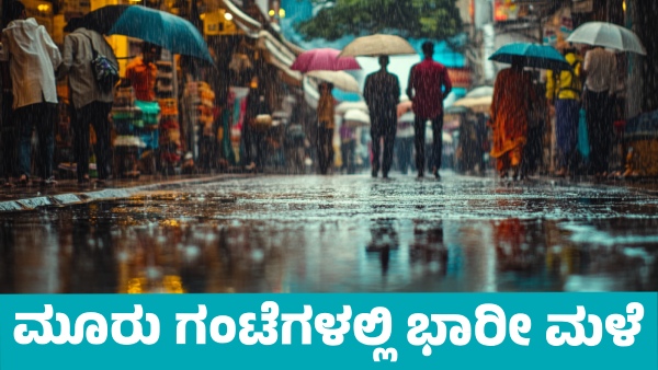 Karnataka Rains Heavy Rain Warning for These Districts of State in Next 3 Hours