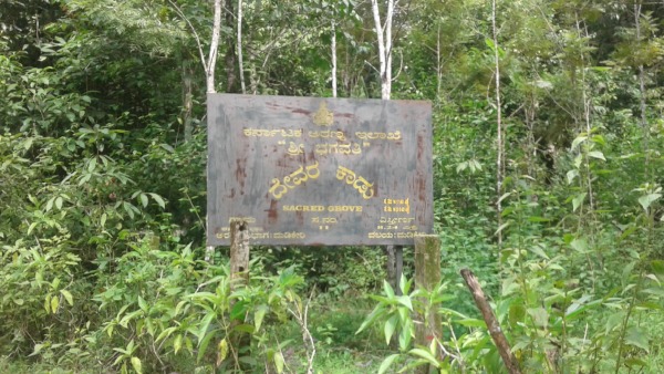 Kodagu People Worship Nature Through Forest Deities