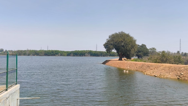 Summer 2025 53 Lakes Dry Up In Bengaluru City