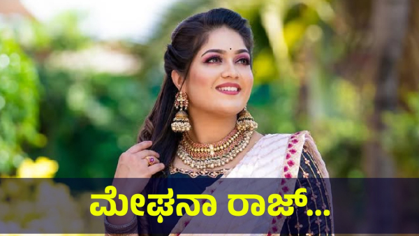 Meghana Raj Said This About The Chiranjeevi Sarja