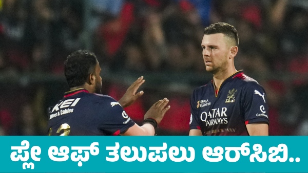 IPL 2025 Royal Challengers Bengaluru Play off Prediction