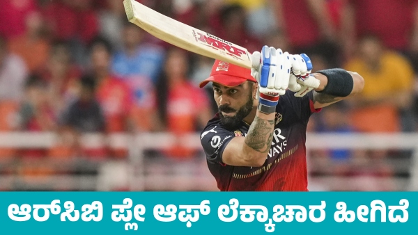 IPL 2025 RCB Play off Prediction