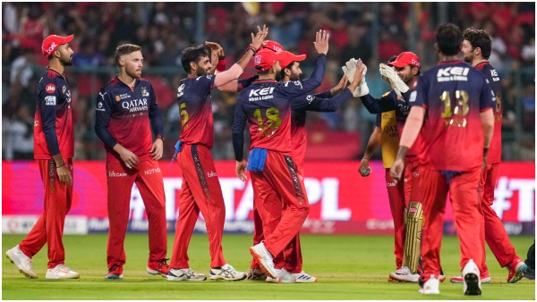 Rcb playoffs qualification scenario in ipl 2025