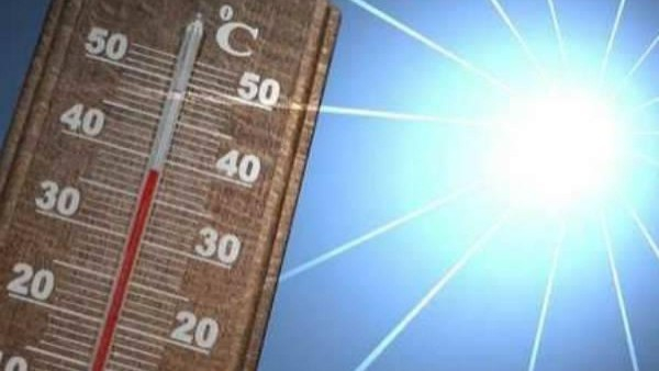 Keep Your Body Clean This Summer Essential Health Tips