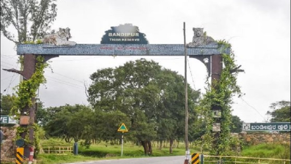 Bandipur National Park Revitalised by Monsoon Rain - A Nature Lover s Haven Bandipur National Park Revitalised by Monsoon Rain - A Nature Lover s Haven