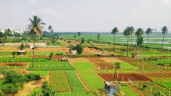 Bengaluru Ruined by land Prices Boom Despite High Price of land there is still hardship