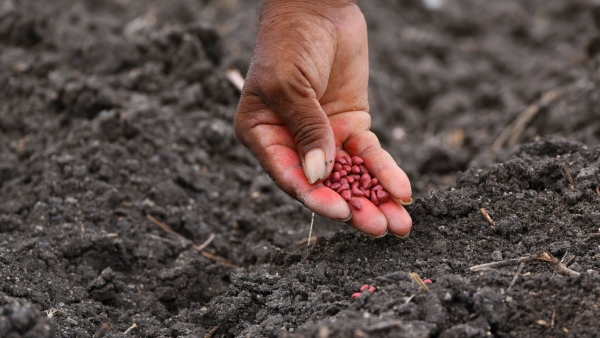 Monsoon Season 2025 Tips For Farmers