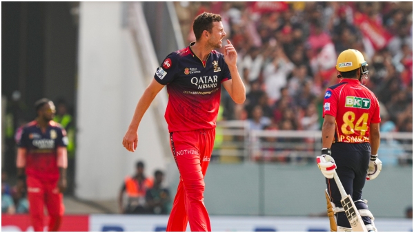rcb stand in captain jitesh sharma gives update josh hazlewood tim david fitness