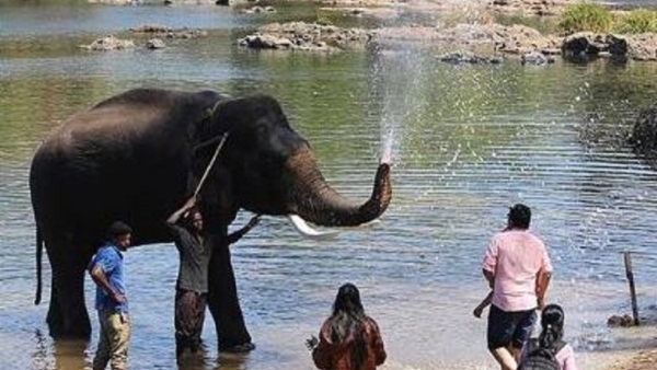 Discover the Best Tourist Attractions in Kodagu District